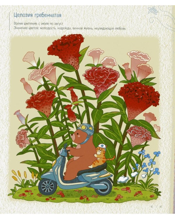 Дополнительное изображение книги «Летним днем в Корее: раскраски-антистресс, которые подарят теплые чувства»