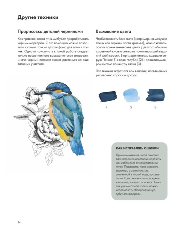 Рисуем акварелью: птицы леса и сада
