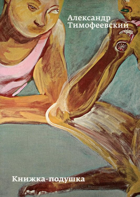 Книжка-подушка. Обложка "Сатир в гостях у крестьянина"