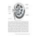 Заболевания почек и мочевыводящих путей в акушерстве: руководство для врачей