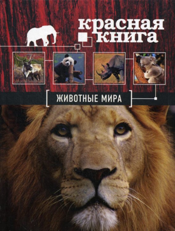 Красная книга для больших и маленьких Красная книга. Животные мира