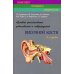 Конспект лучевого диагноста Лучевая диагностика заболеваний и повреждений височной кости (Конспект лучевого диагноста). 4-е изд., перераб. и доп