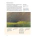 Русские художники. Расшифрованные шедевры