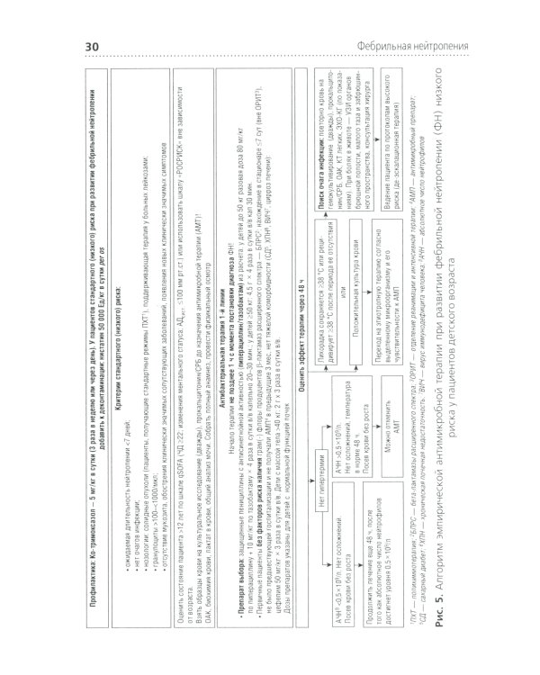 Инфекционные осложнения в детской онкологии и гематологии: Учебно-методическое пособие