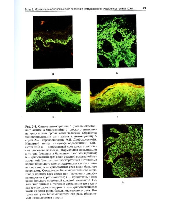Дерматовенерология. Руководство для врачей