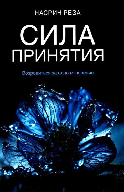 Сила принятия. Возродиться за одно мгновение
