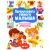 Первая книга умного малыша. Интеллектуальное развитие детей от 1 года до 3 лет