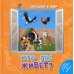 Окошко в мир Кто где живёт?