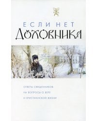 Если нет духовника. Ответы священников на вопросы о вере и христианской жизни