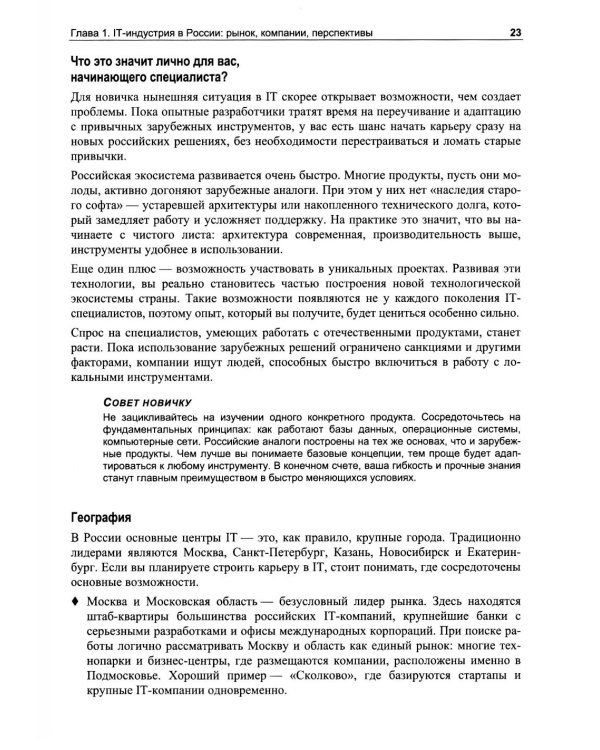 Разработка программного обеспечения. Практическое руководство для новичков в IT-команде