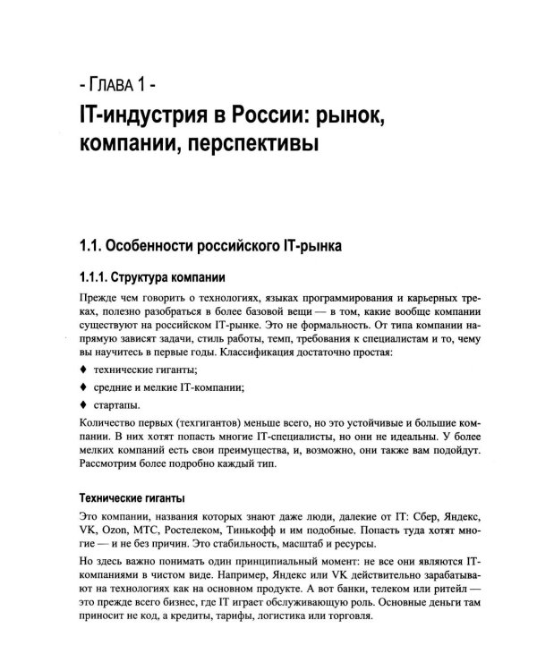 Разработка программного обеспечения. Практическое руководство для новичков в IT-команде