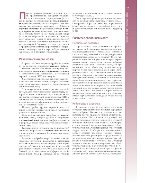Наглядная неврология и нейроанатомия. 2-е изд