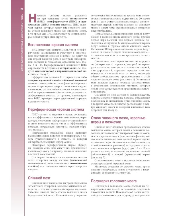 Наглядная неврология и нейроанатомия. 2-е изд