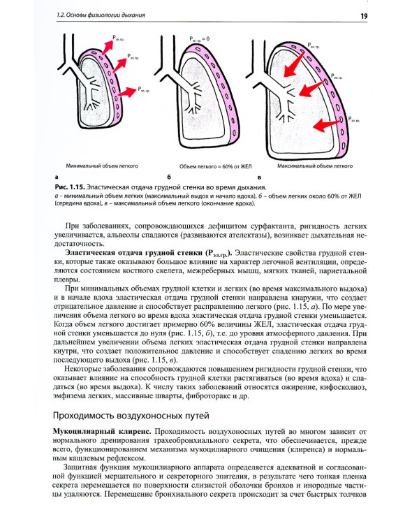 Внутренние болезни. Система органов дыхания: Учебное пособие. 6-е изд