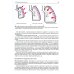 Внутренние болезни. Система органов дыхания: Учебное пособие. 6-е изд