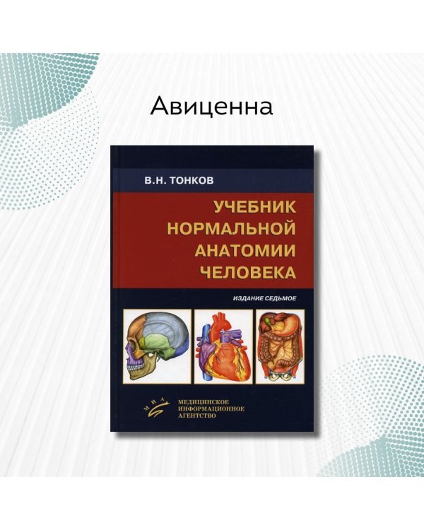 Учебник нормальной анатомии человека