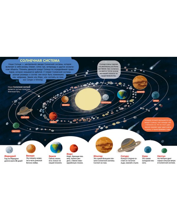 Мир вокруг. Энциклопедия в картинках