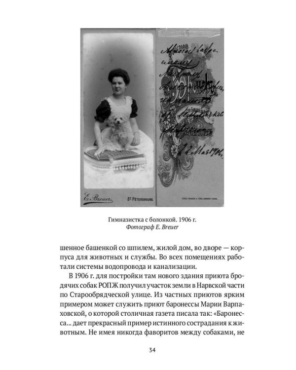 Собаки в городах. Жизнь собак в истории, искусстве и обществе