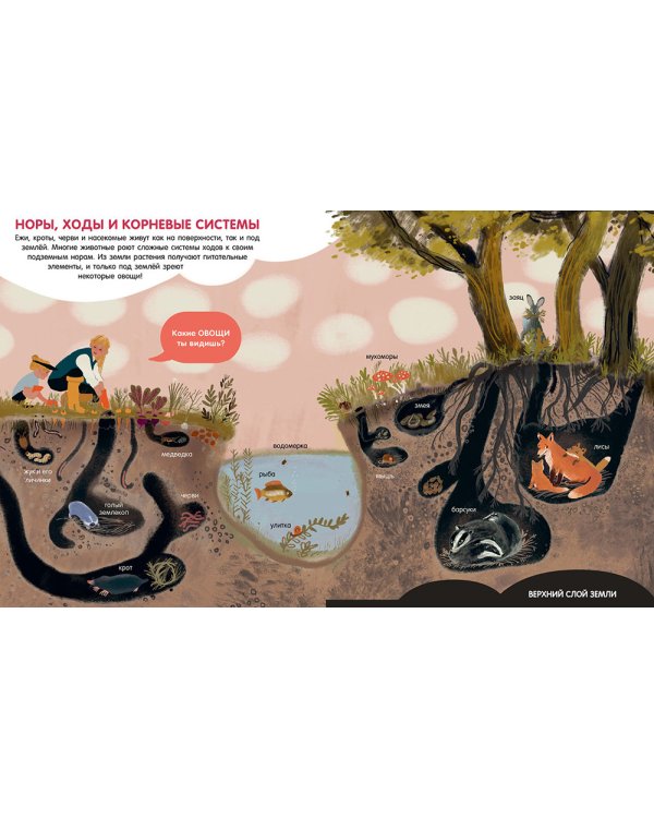 Мир вокруг. Энциклопедия в картинках