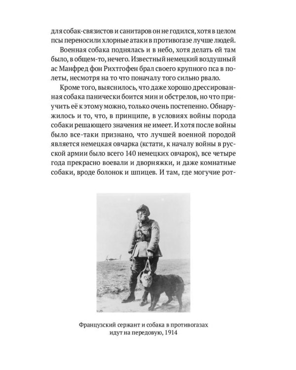 Собаки в городах. Жизнь собак в истории, искусстве и обществе