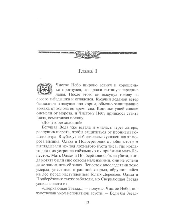 Коты-воители. Время выбора