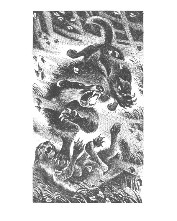 Коты-воители. Время выбора