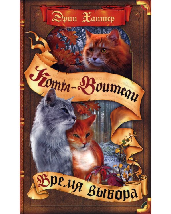 Коты-воители. Время выбора