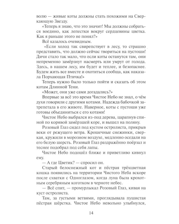 Коты-воители. Время выбора