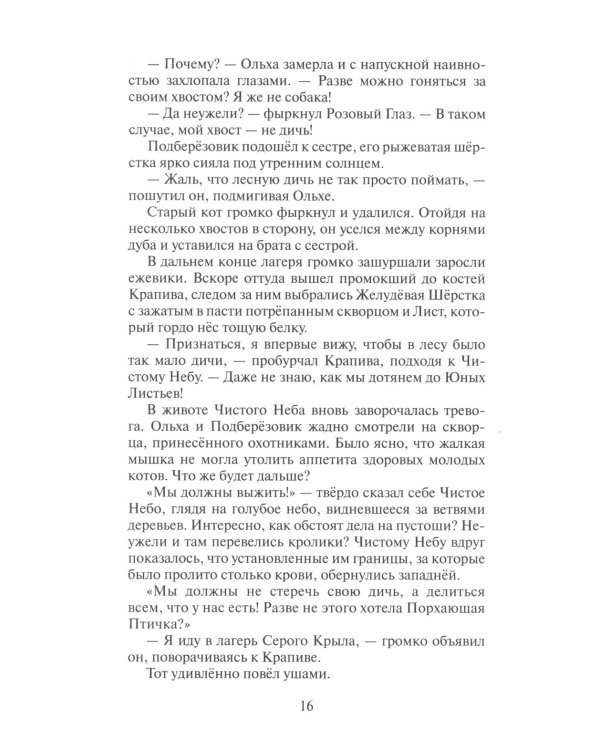 Коты-воители. Время выбора