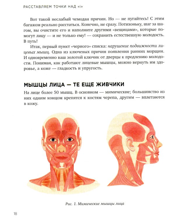 Без морщин. Система естественного омоложения лица