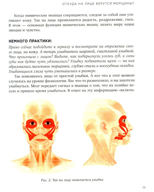 Без морщин. Система естественного омоложения лица