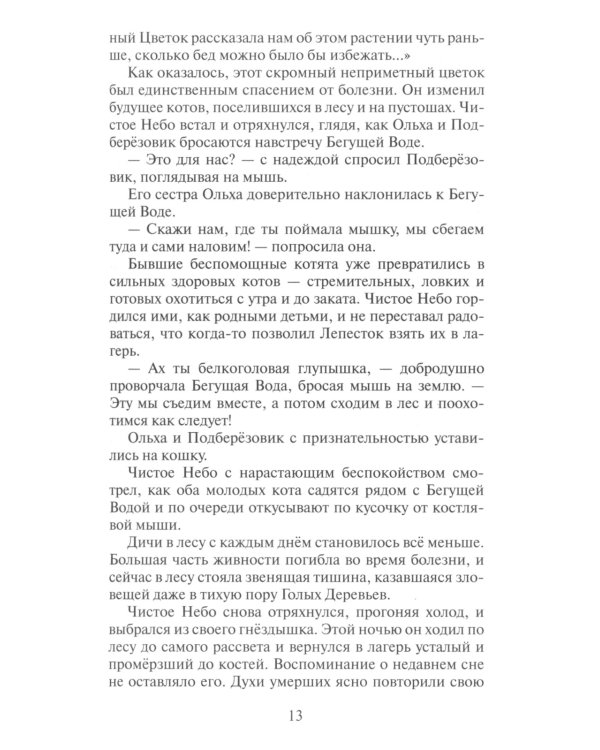 Коты-воители. Время выбора