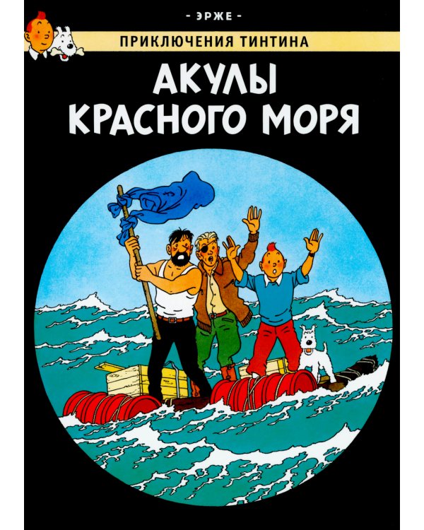 Акулы Красного моря