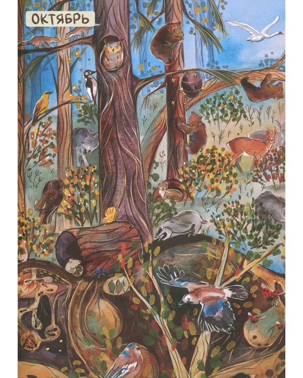 От зимы к лету. Как живут лесные звери