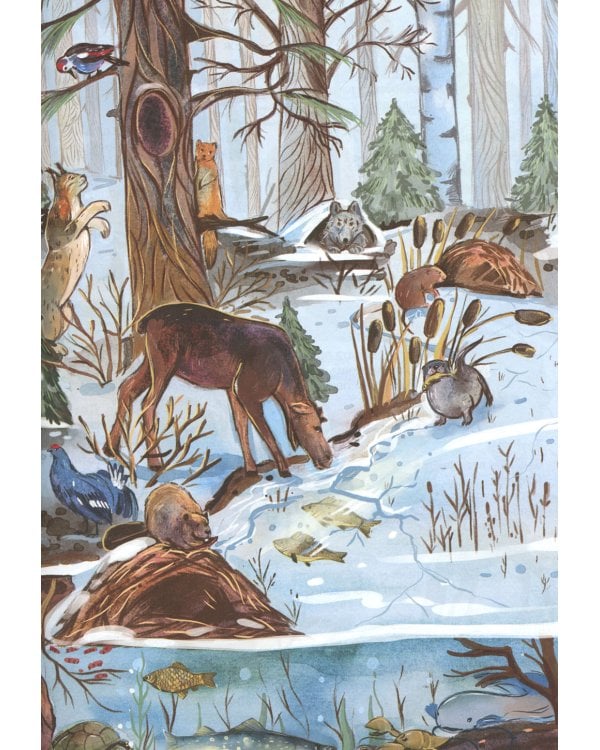 От зимы к лету. Как живут лесные звери