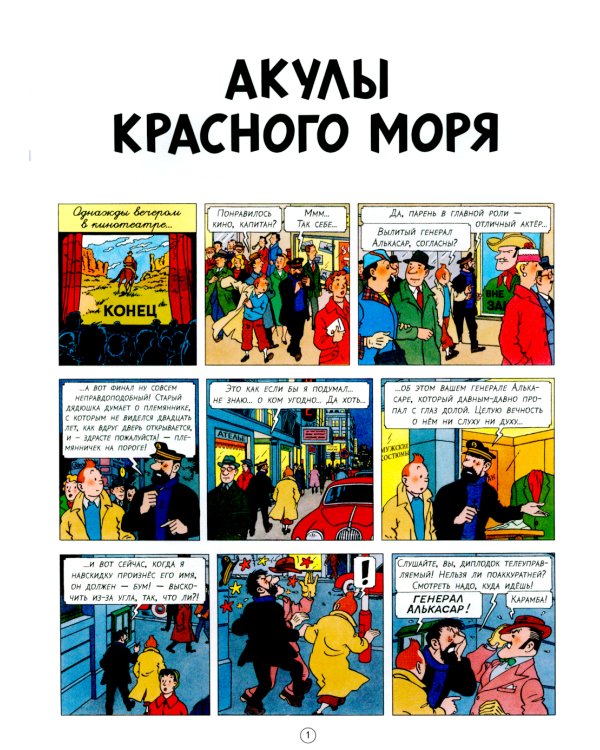 Акулы Красного моря