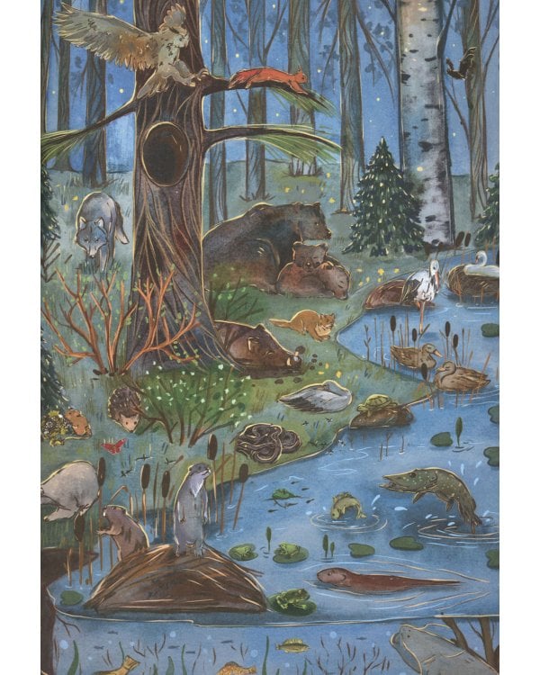 От зимы к лету. Как живут лесные звери