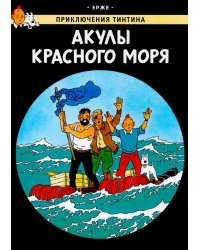 Акулы Красного моря