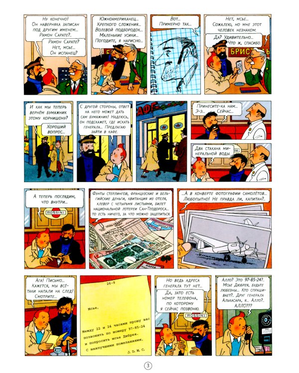 Акулы Красного моря