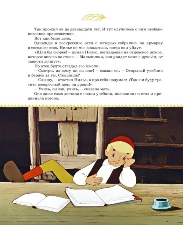 Чудесное путешествие Нильса с дикими гусями: повесть-сказка