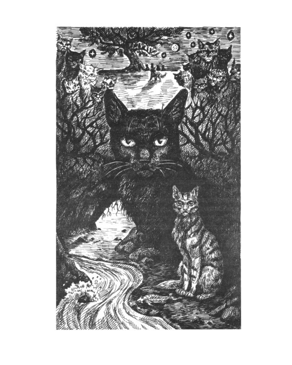 Коты-воители. Нерассказанные истории. История Остролистой: сборник