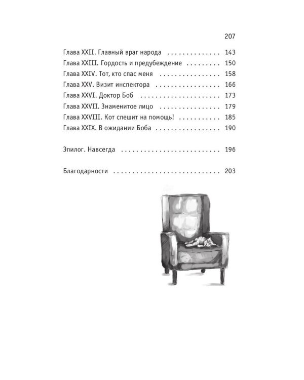 Кот Боб: во имя любви