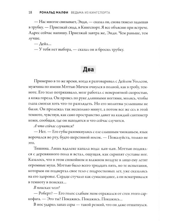 Дополнительное изображение книги «Ведьма из Кингспорта»