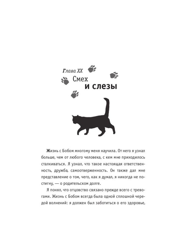 Кот Боб: во имя любви