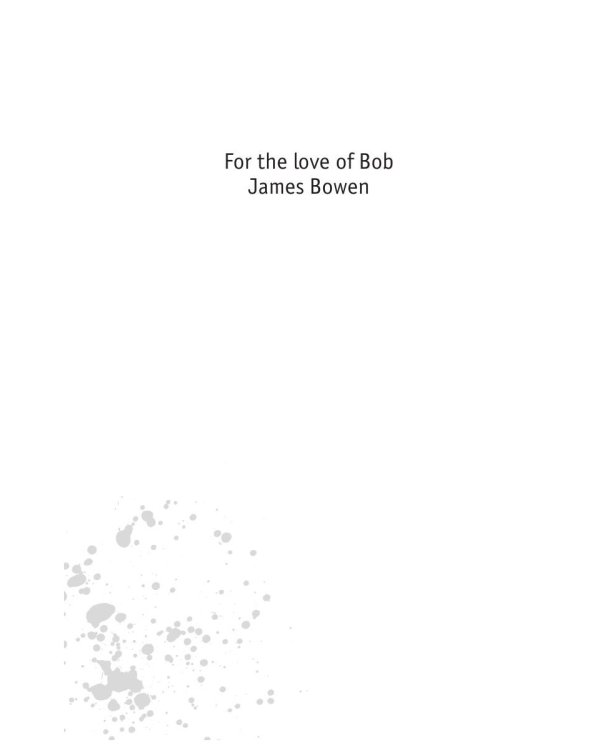 Кот Боб: во имя любви