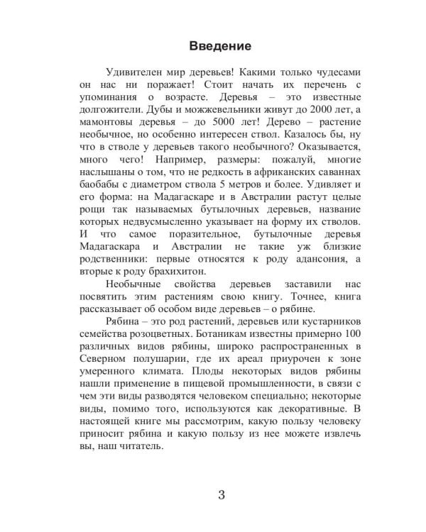 Целительная рябина