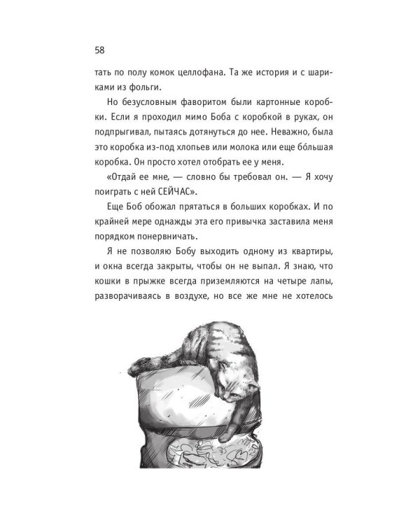 Кот Боб: во имя любви