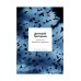 В режиме реального времени. Стихотворения 2020-2022 годов