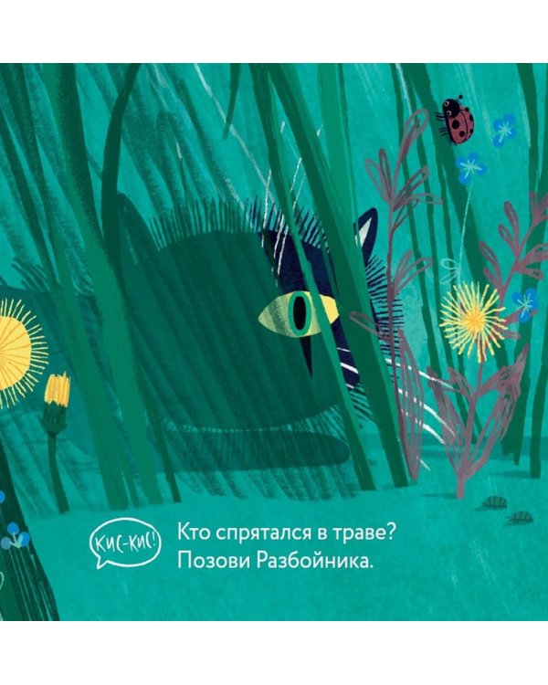 Эй, Разбойник!