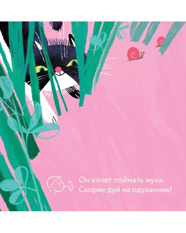 Эй, Разбойник!
